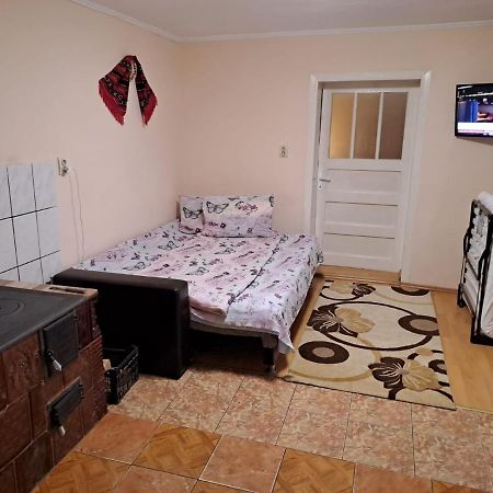 فيلا Casa Argentina Cîrţişoara المظهر الخارجي الصورة