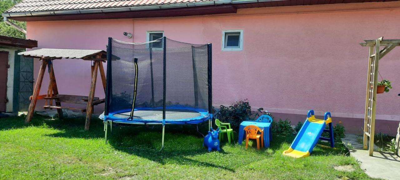 فيلا Casa Argentina Cîrţişoara المظهر الخارجي الصورة