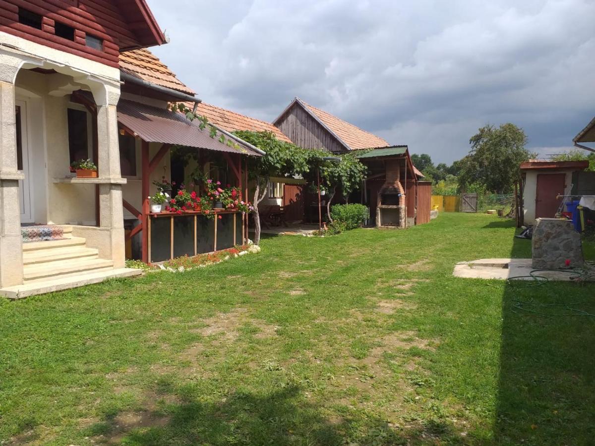 فيلا Casa Argentina Cîrţişoara المظهر الخارجي الصورة